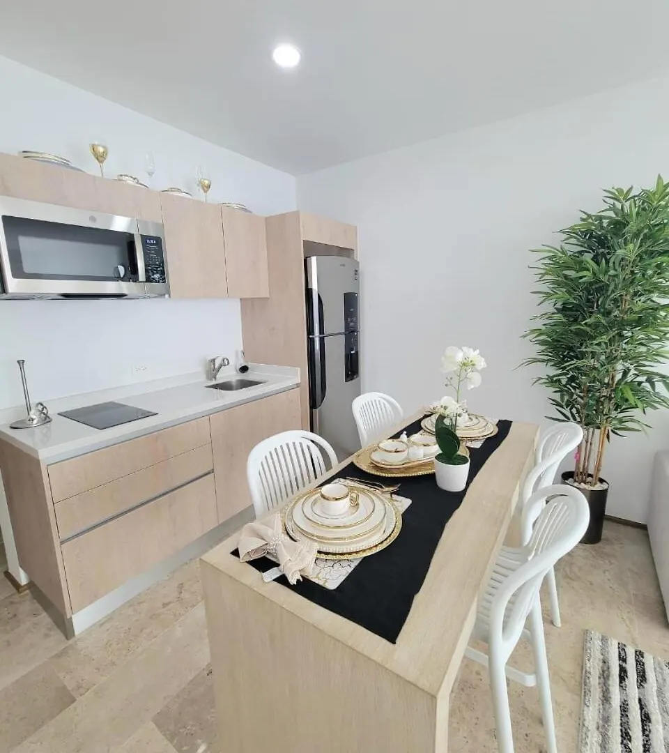 Apartamento Condo En El Corazon De Playa Del Carmen