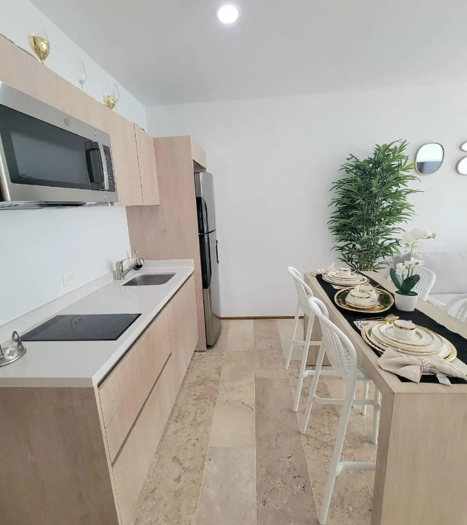 Condo En El Corazon De Playa Del Carmen México